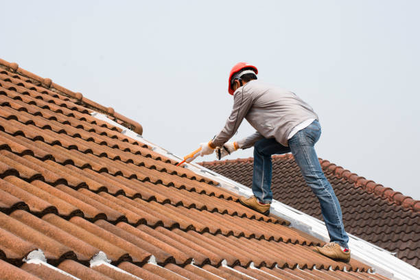 Best Sheet Metal Roofing  in Palermo, NJ